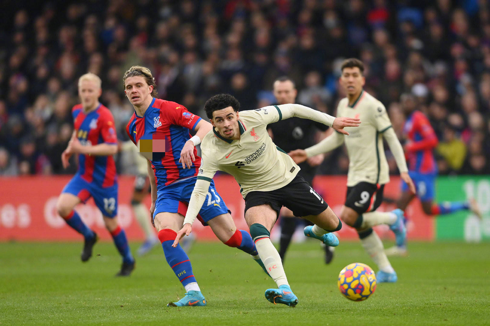 特的春节传 特的春节传